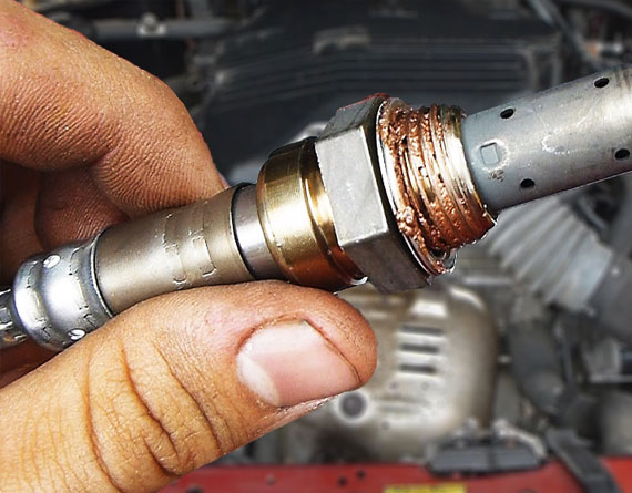 Oxygen Sensor Closeup